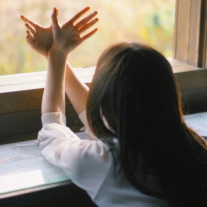 我的好友阿曼达