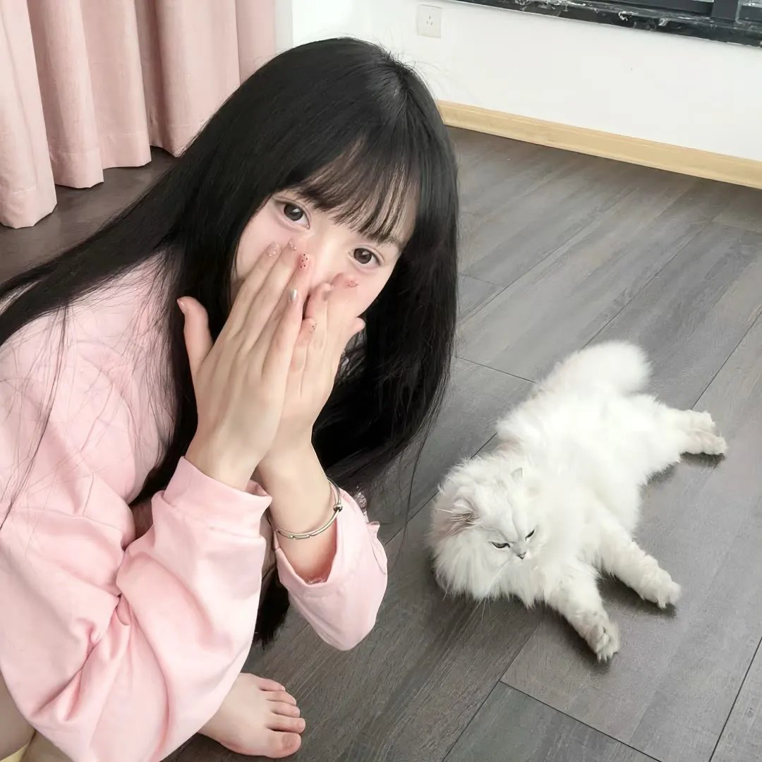 飞哥与小佛的时空大冒险